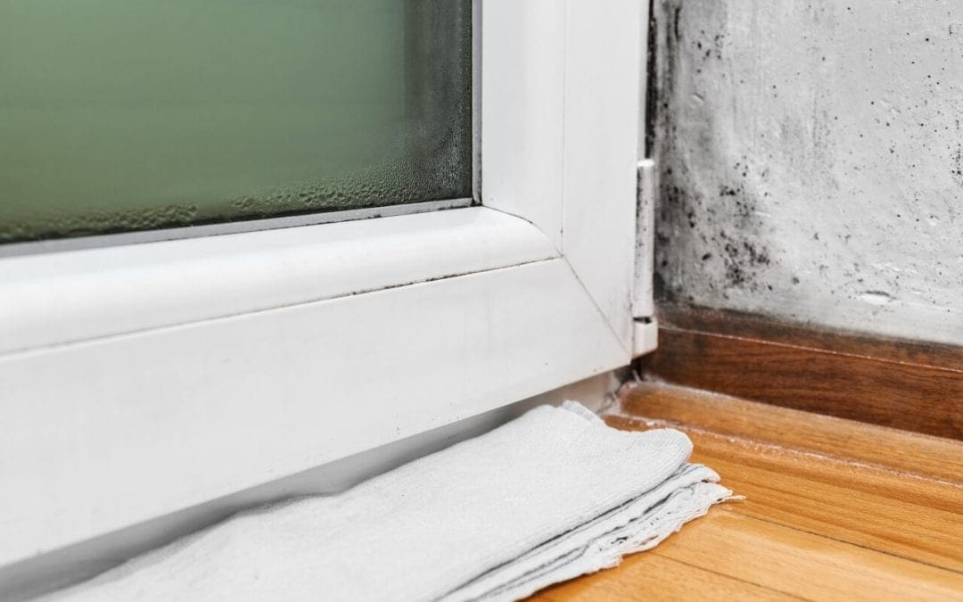 signs of mold in the home