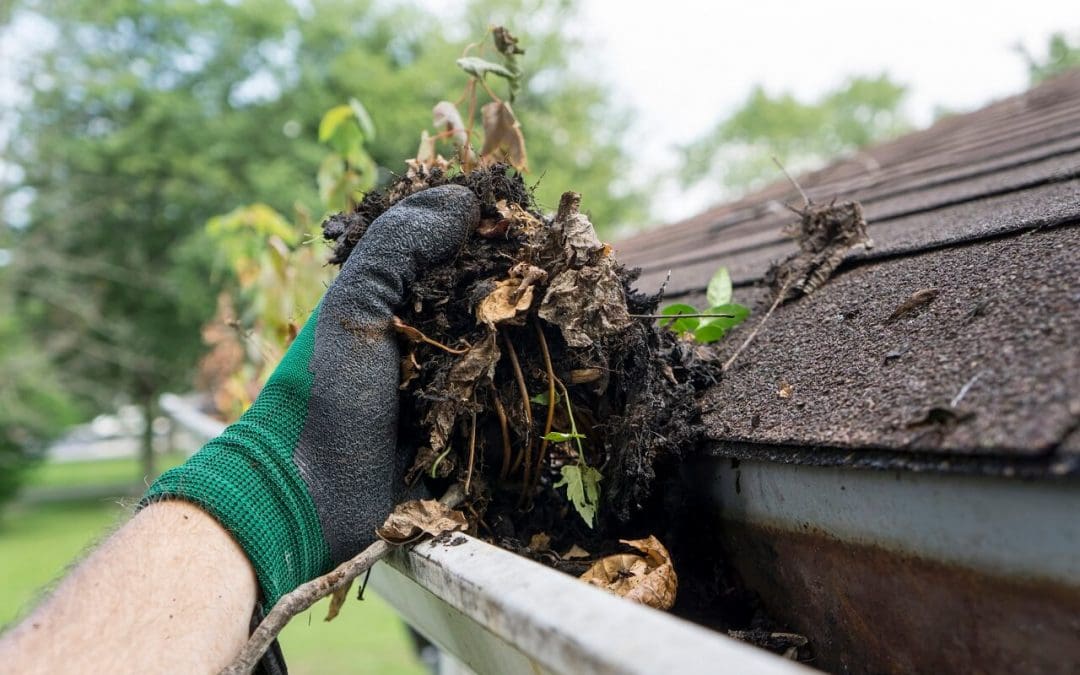 spring cleaning for your home's exterior includes cleaning the gutters