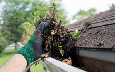 Spring Cleaning for Your Home’s Exterior