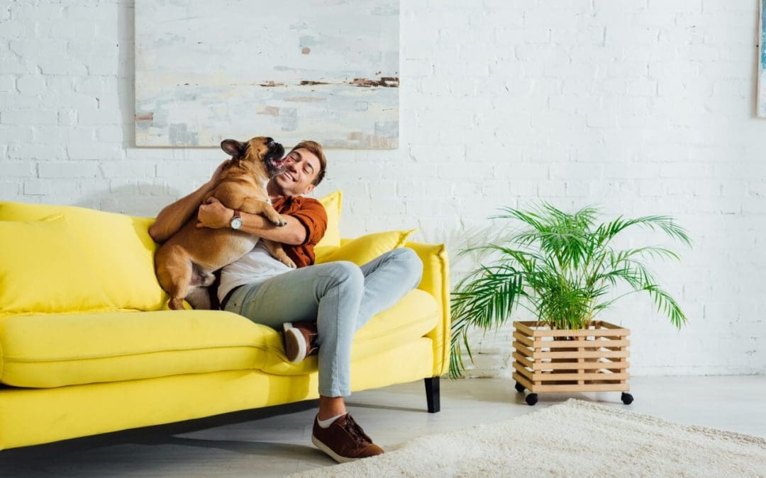 create a pet-friendly home