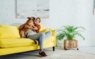 5 Tips to Create a Pet-Friendly Home